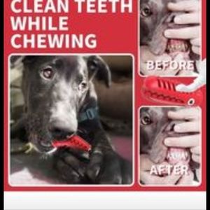 Chew Toy for Dogs